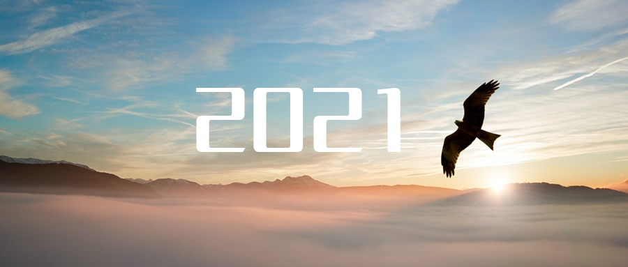乘“峰”而上，智“盈”未來 ——2021年盈峰環(huán)境高級資深副總裁新年開工動員